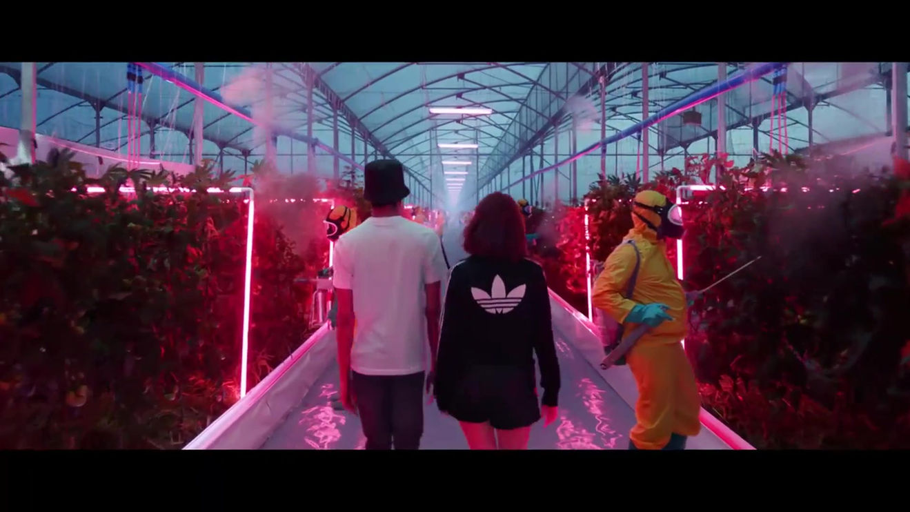 Adidas Originals "Your Future Is Not Mine"